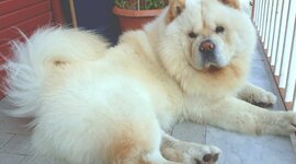 Timeline: Stagioni 2