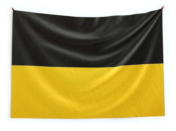 AVSTIJSKO CESARSTVO leta 1848,1849