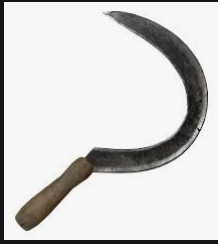 The Sickle