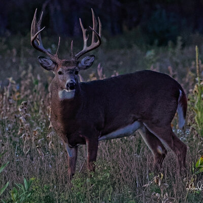 Timeline: The American Revolution Timeline