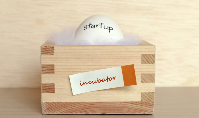 Incubadora de Empresas de Bolívar