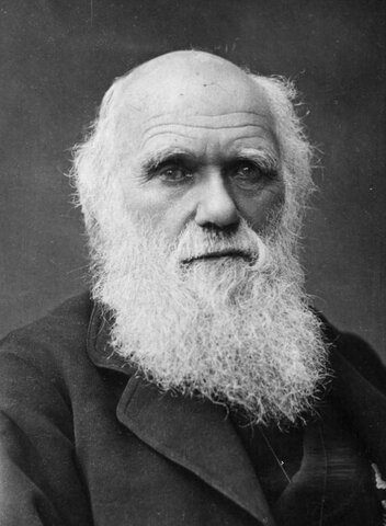 Darwin