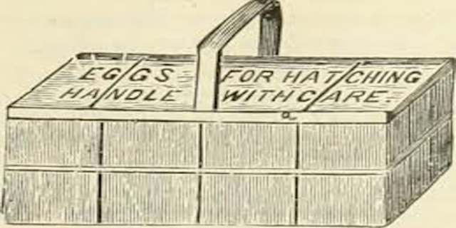 Inicio de una ingeniería de empaques.