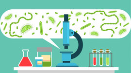 Timeline: Microbiología - Jael S. Cruz Calleja