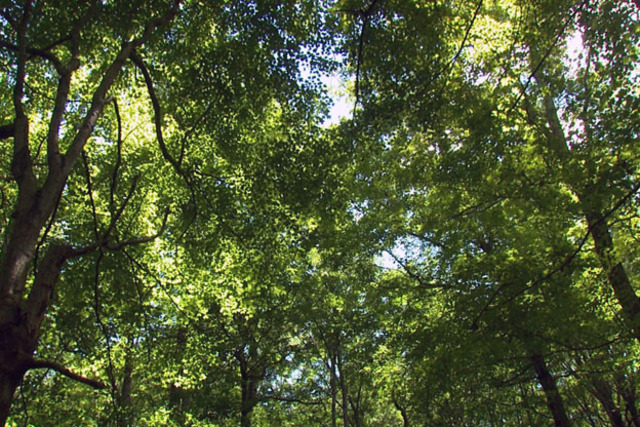 Highway Administration Approves Environmental Study