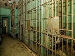 Regreso a España- Estudios