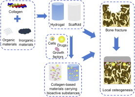Biomateriales con base en colageno