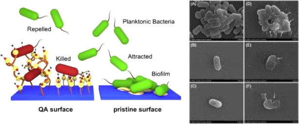 Biomateriales para la exporación espacial