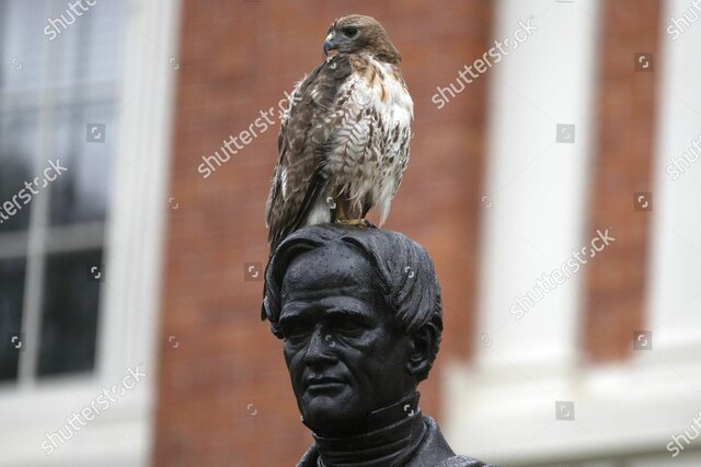 State Board of Education Established