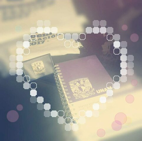 Decido estudiar la carrera en Psicología