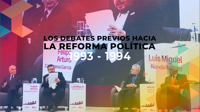 REFORMA DE 1993