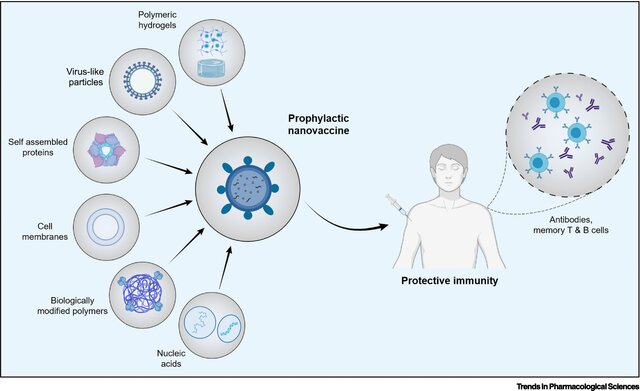 Se agregan biomateriales para mejorar las vacunas