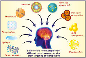 Aplicaciones de polímeros biodegradables en el tratamiento de enfermedades neurodegenerativas