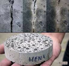 Invensión del bioconcreto