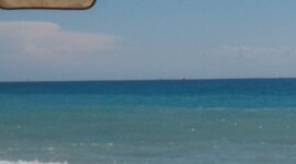 Timeline: Le 4 stagioni