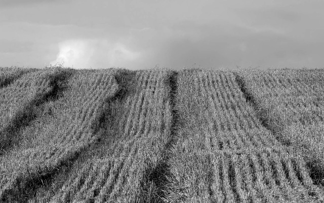 First tractor is invented