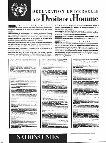 Déclaration universelle des droits de l'homme (ONU)