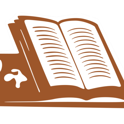 Timeline: Itinerari acadèmic