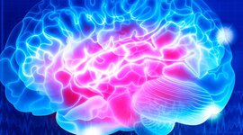 Timeline: Neurociencia.