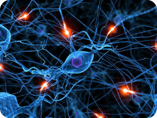 Actividad eléctrica