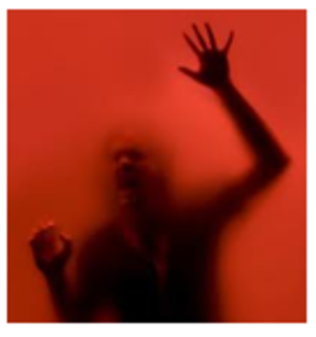 Poe creates a new Genre