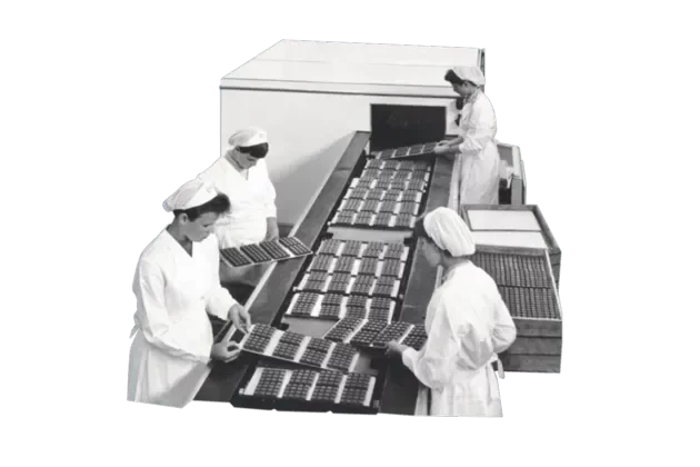 DER KAKAO FLIEßT WIEDER