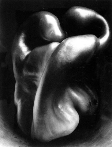 Poivron par Edward Weston