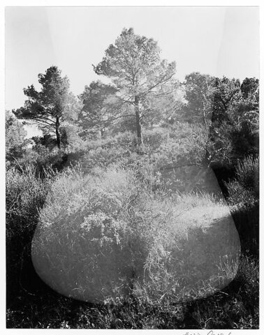 Eleanor, Aix-en-Provence par Harry Callahan