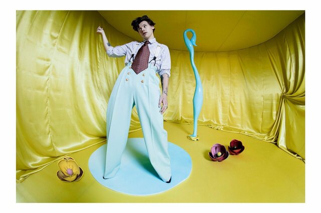Harry Styles par Tim Walker