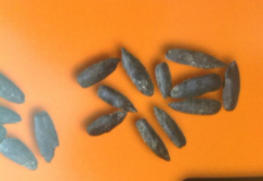 Erretako zerealen haziak