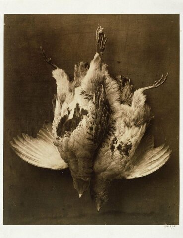 La Première de Septembre par William Lake Prince