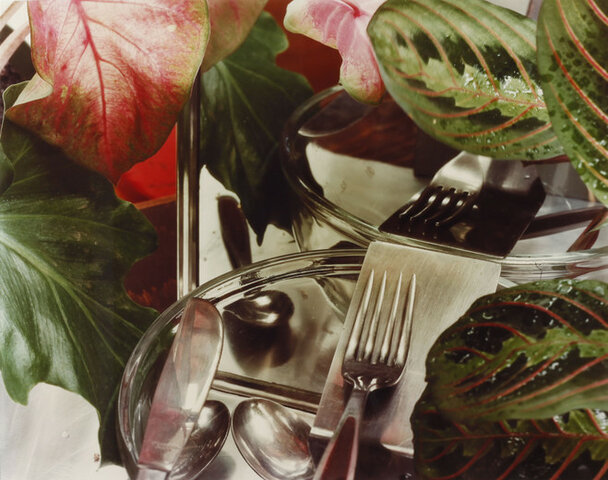 Sans titre par Jan Groover