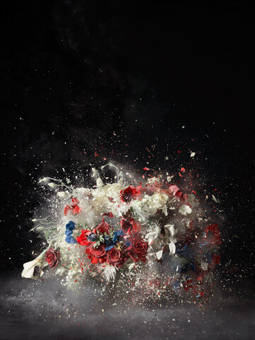 Blow Up par Ori Gersht