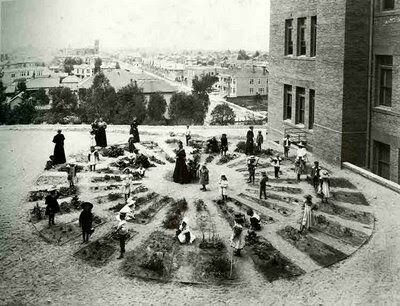 Pilares do Desenvolvimento Infantil - Froebel