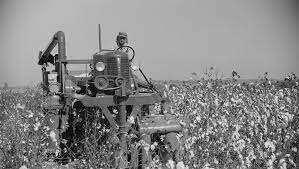 Population and Productivity