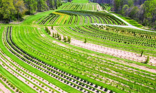 manufacturing annotations