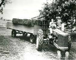 Farming in Post War