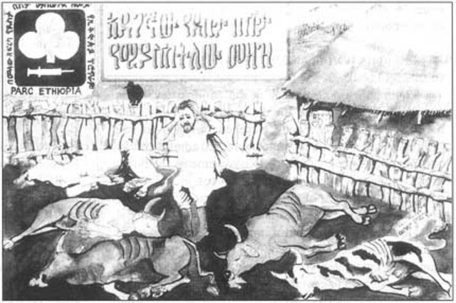 Joint Project 15 begins