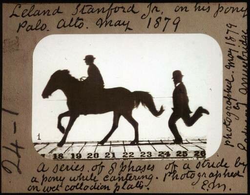 Leland Stanford Jr. sur son poney Gypsy par Eadward Muybridge
