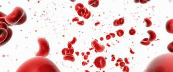 Grupos sanguíneos humanos