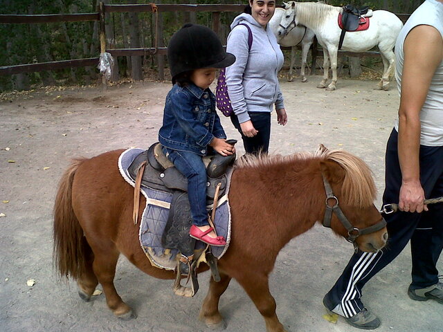 Primera vegada muntant a cavall