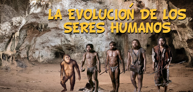 Cuándo surgieron los primeros homínidos y que ocurrió con su cerebro?