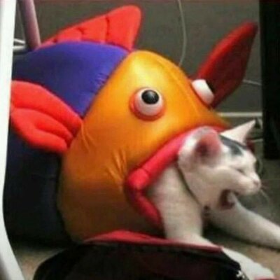 Timeline: El desarrollo estabilizador