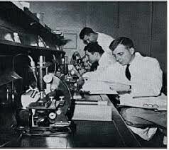 Época del Realismo (de aproximadamente 1958 a 1972)