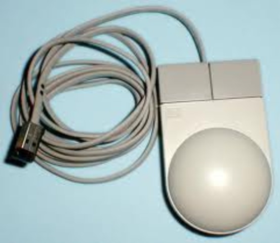 Computer Mouse