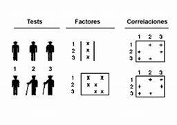 Los tests factoriales de inteligencia vuelven a ser considerados