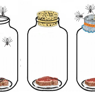 Timeline: Historia de la Microbiología  - Glendy Maritza Pop Soto   201843066