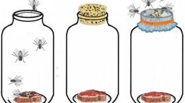 Timeline: Historia de la Microbiología  - Glendy Maritza Pop Soto   201843066
