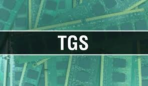 Nuevo concepto de TGS