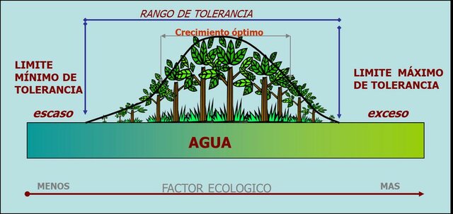 Ley de Tolerancia de Shelford
